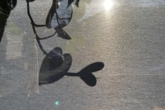 IMG_8471-1